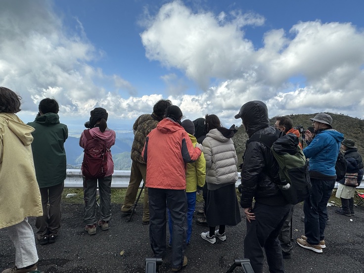 イヌワシを観察する