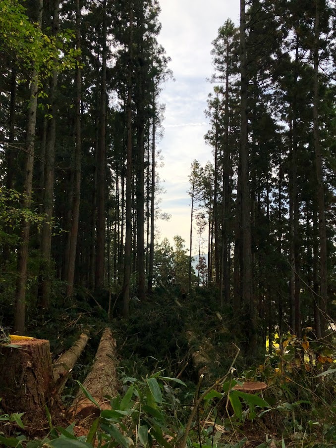 堀切上レインボーブリッジ