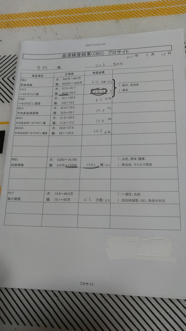 前の血液検査の結果です。