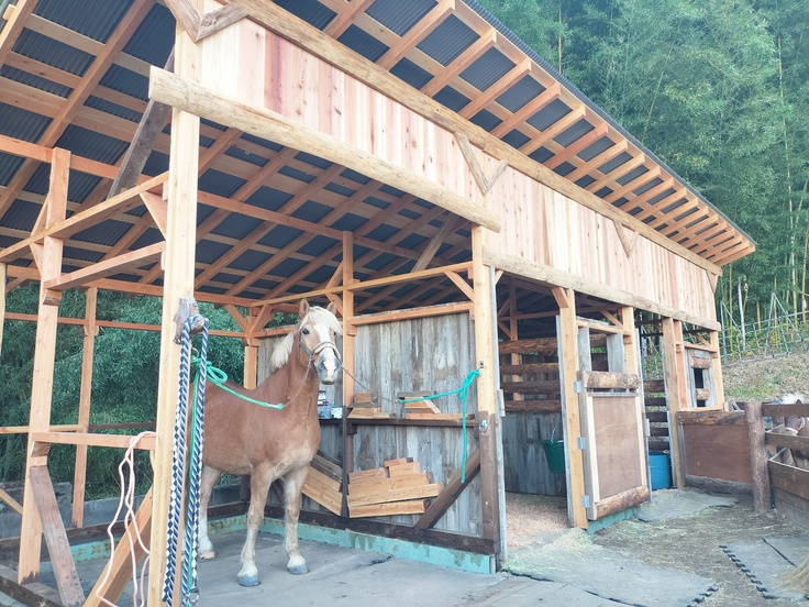 馬小屋