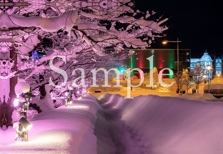 ポストカード・サンプル