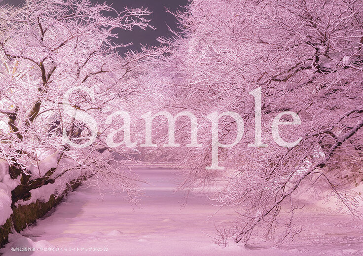 クリアファイル・サンプル