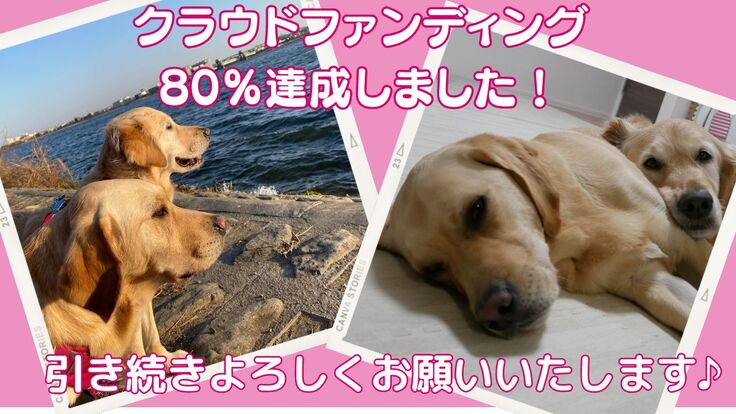 80％ (1200 x 675 px)のコピー.jpg