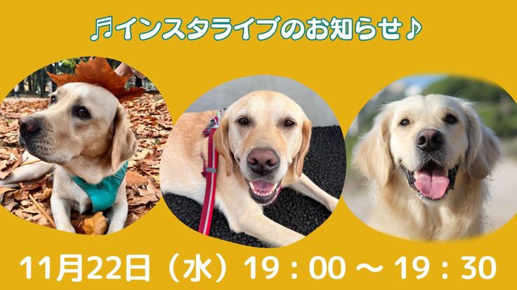 インスタライブ (1200 x 675 px).jpg