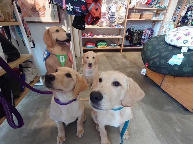 20230513_121936 (1).JPG