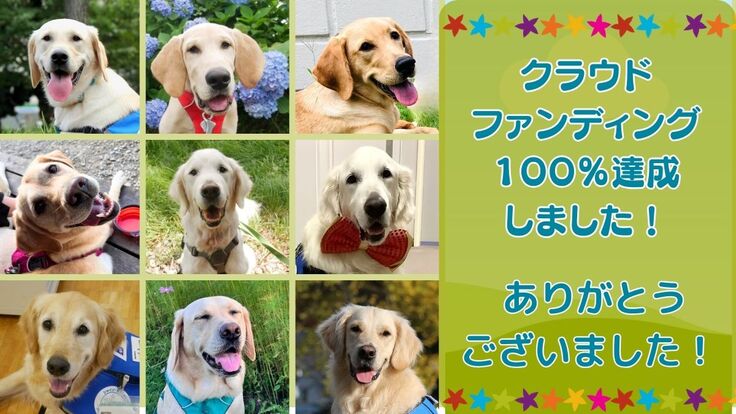 100％ (1200 x 675 px).jpg