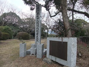 DSCF6176 - コピー.JPG