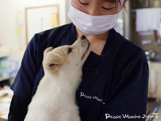 スタッフに甘える「ジャズ」