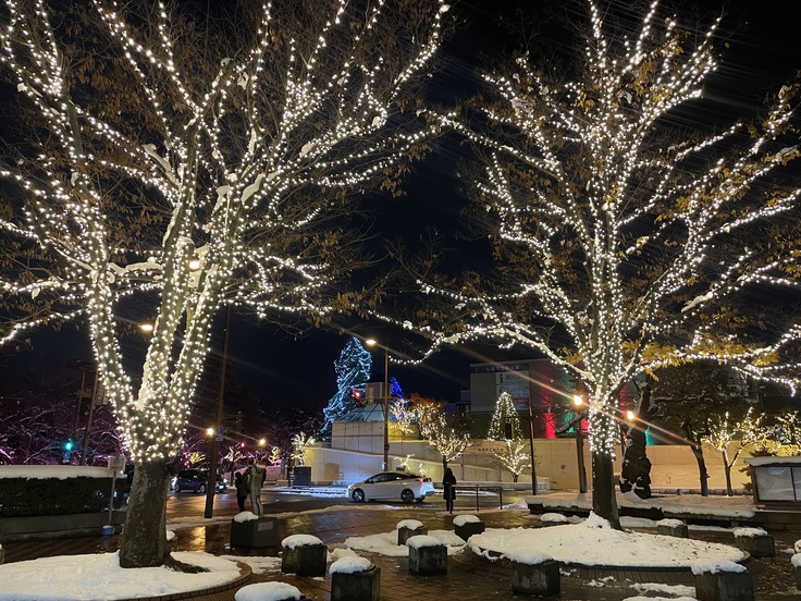 エレクトリカルファンタジー