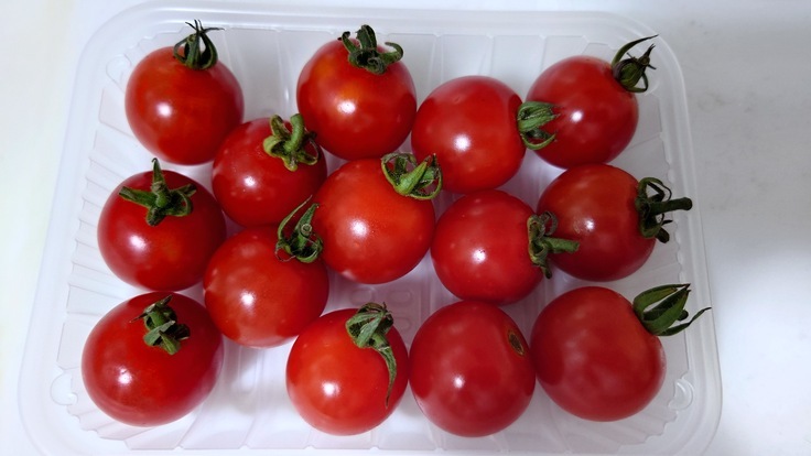 実験に用いたミニトマトの画像