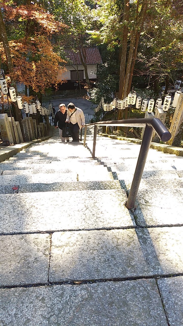 階段を登ったらどんな景色がみえるのでしょう？