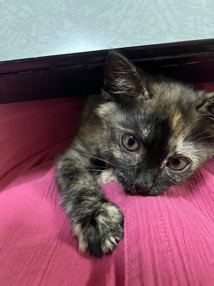 まつりちゃんの笑顔