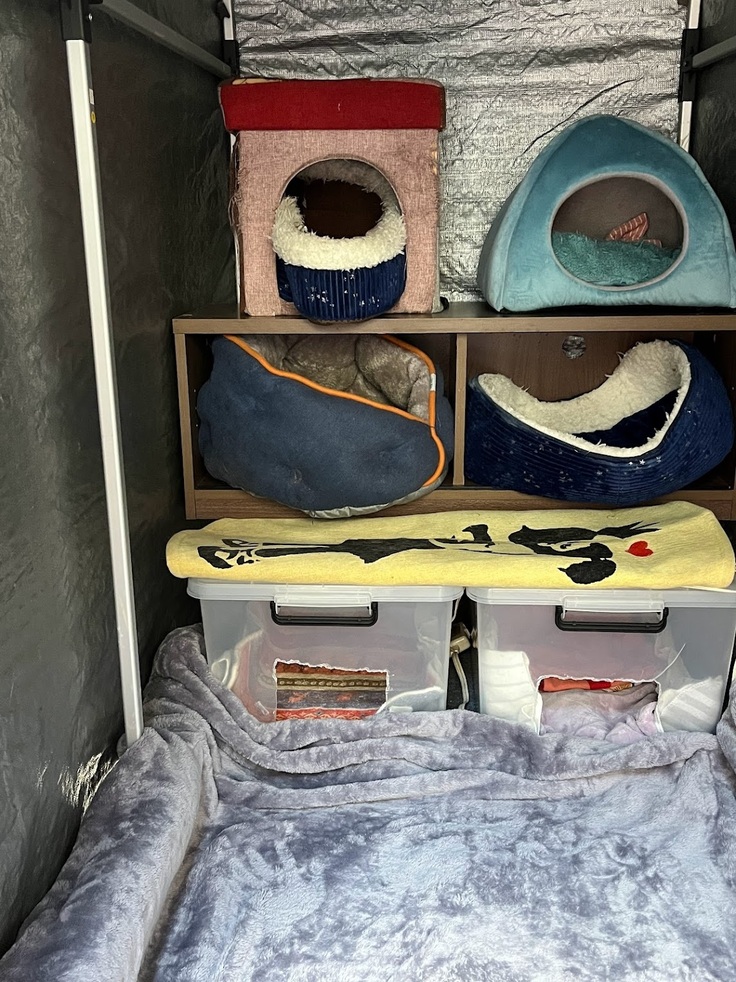 サイクルガレージで冬用保護猫棟