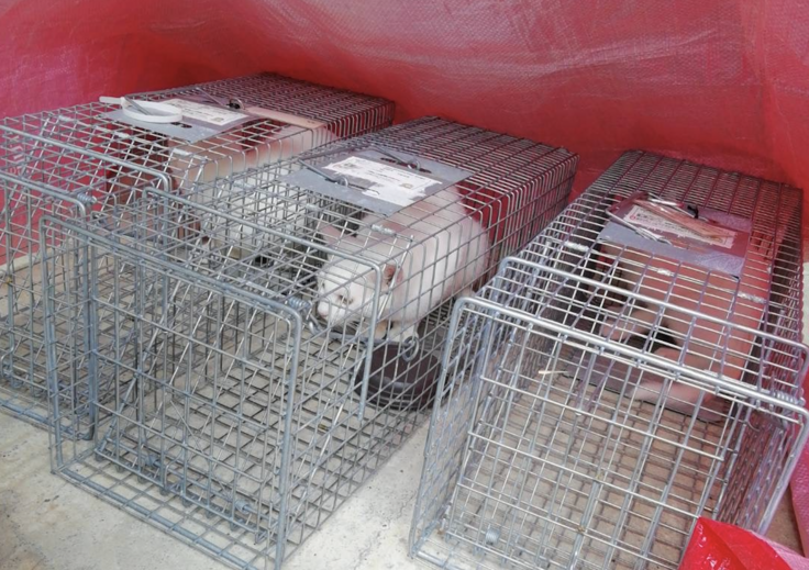 スクリーンショット 2023-12-07 21.56.11.png