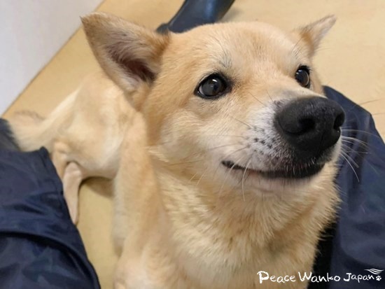 愛情込めてお世話をすればどの子も心を開いてくれて、可愛い笑顔になります