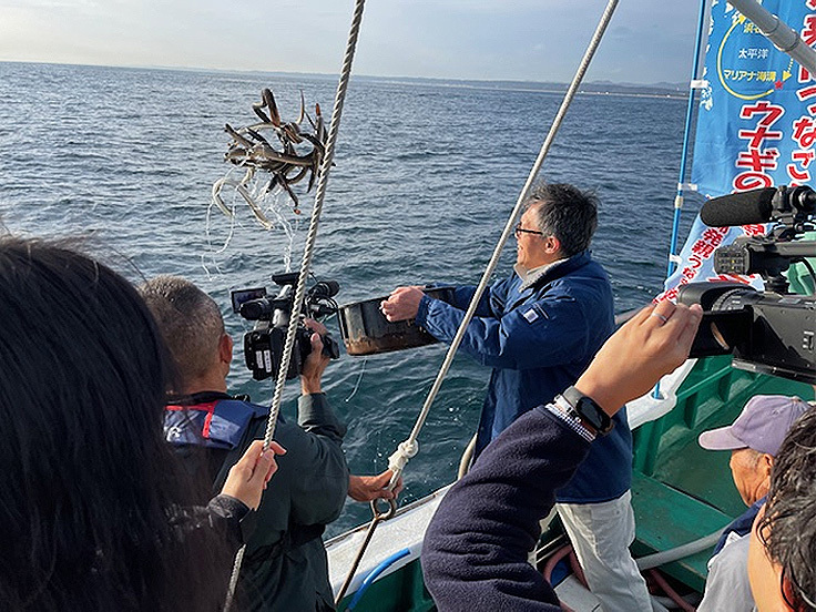 親うなぎを放流しました