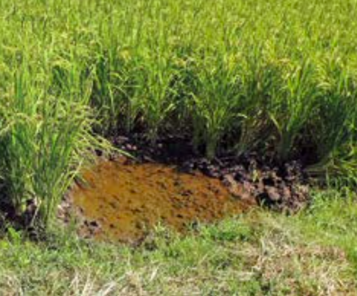 スクリーンショット 2023-12-15 22.16.26.png