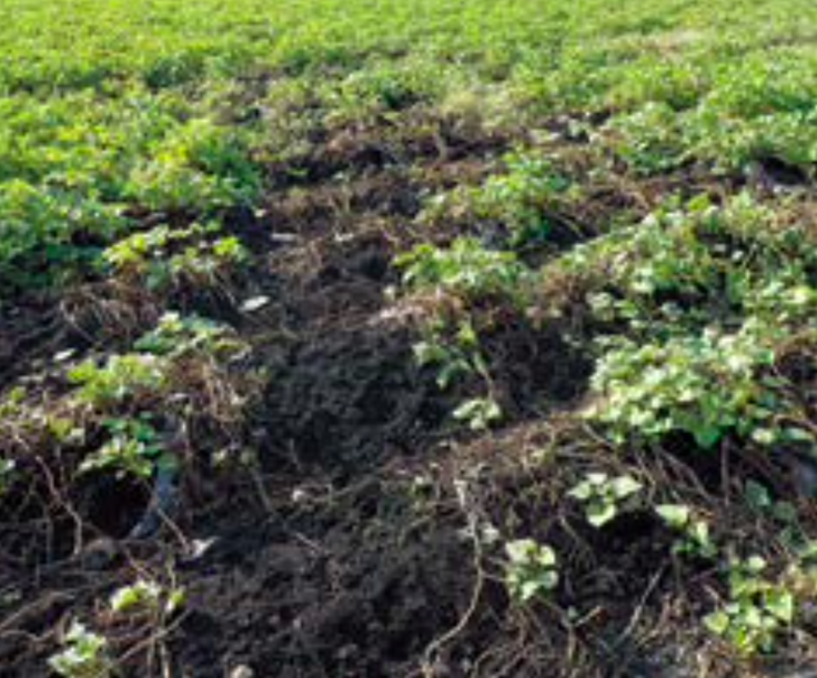 スクリーンショット 2023-12-15 22.16.02.png