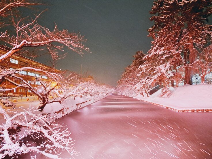 ライトアップ01