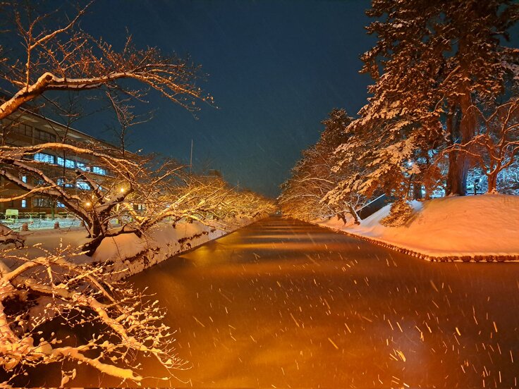 ライトアップ03