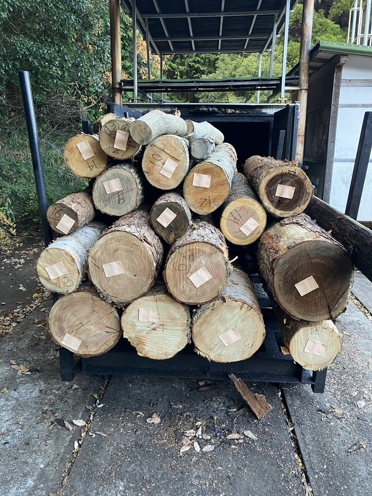 北海道から持ち込んだ丸太