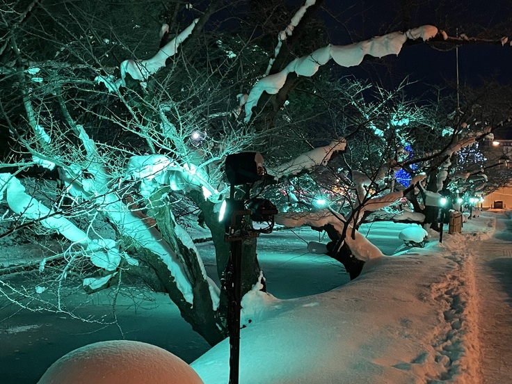 24日のライトアップ2