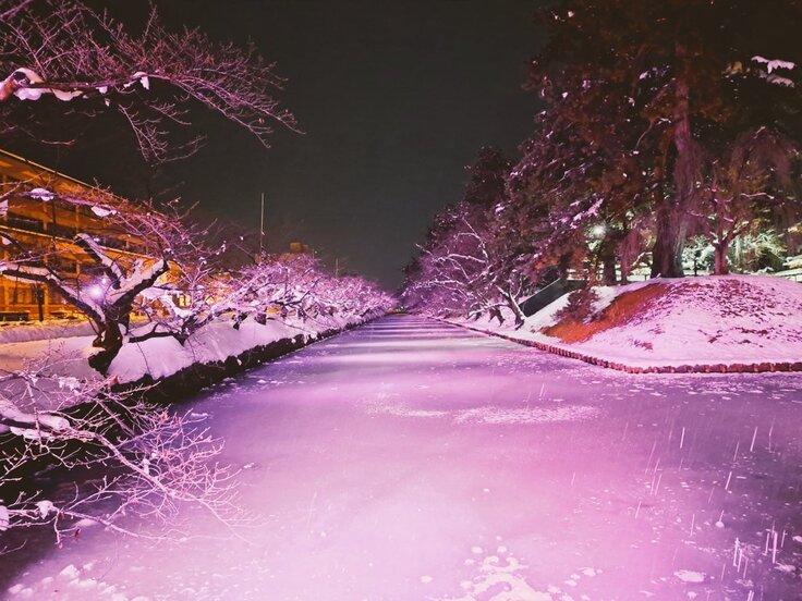 24日のライトアップ3