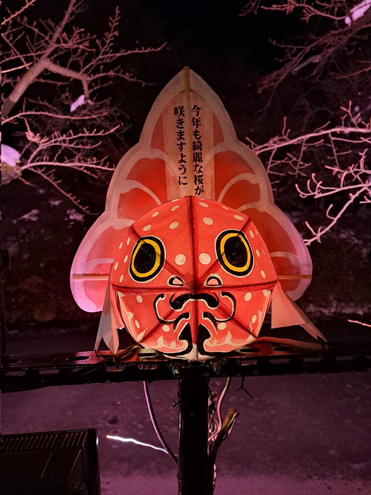 25日のライトアップ2