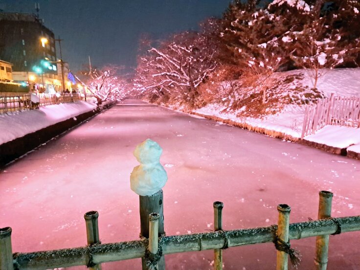 25日のライトアップ3