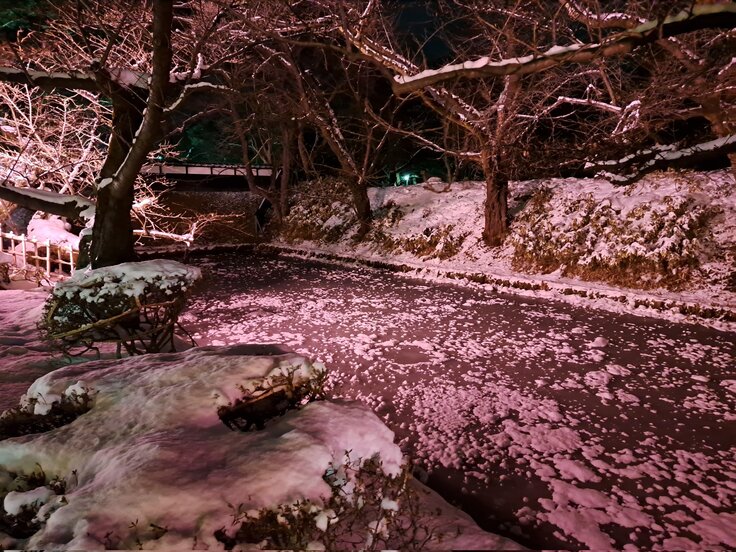 27日のライトアップ1