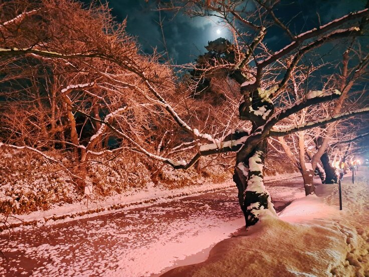 27日のライトアップ2