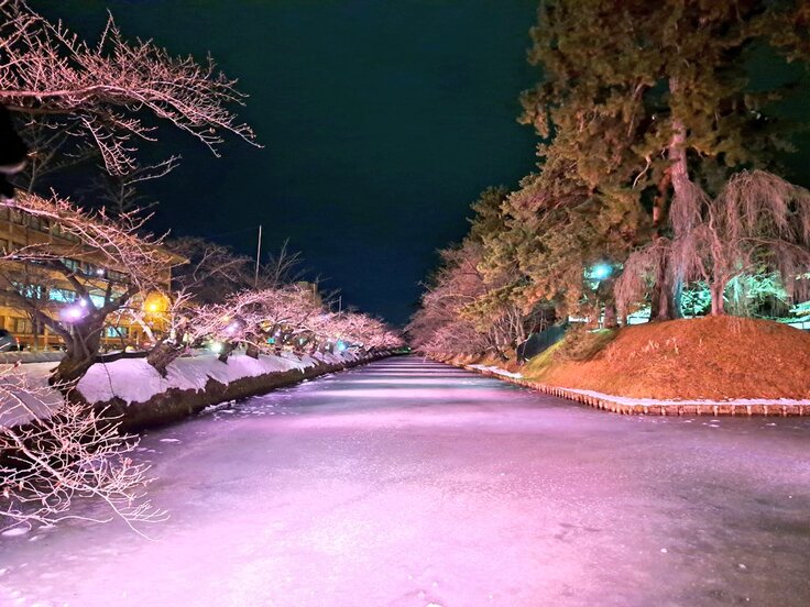 28日のライトアップ1