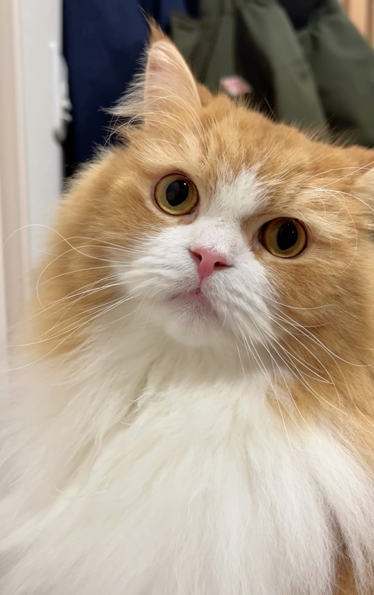 写真 2023-12-30 13 23 02.jpg