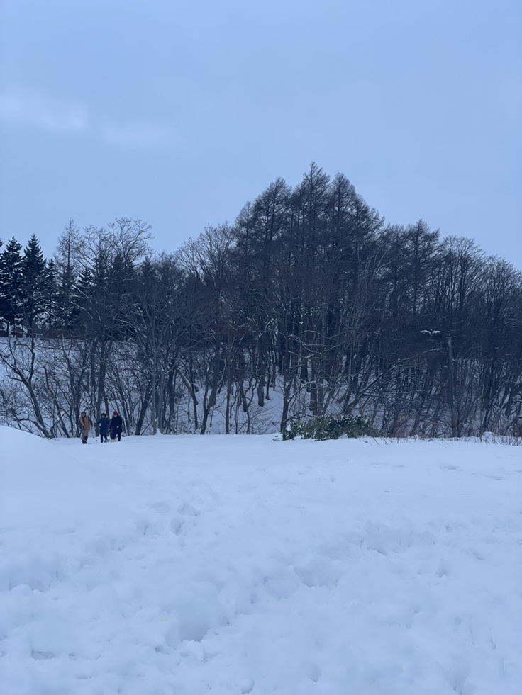 メープルの森までの道のり