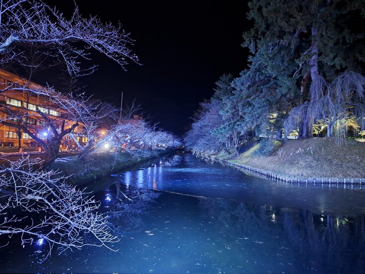 ライトアップの様子1