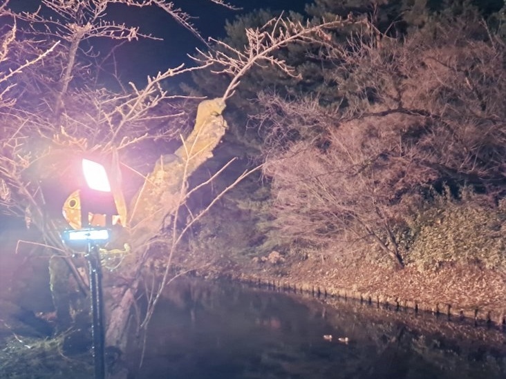 ライトアップの様子2