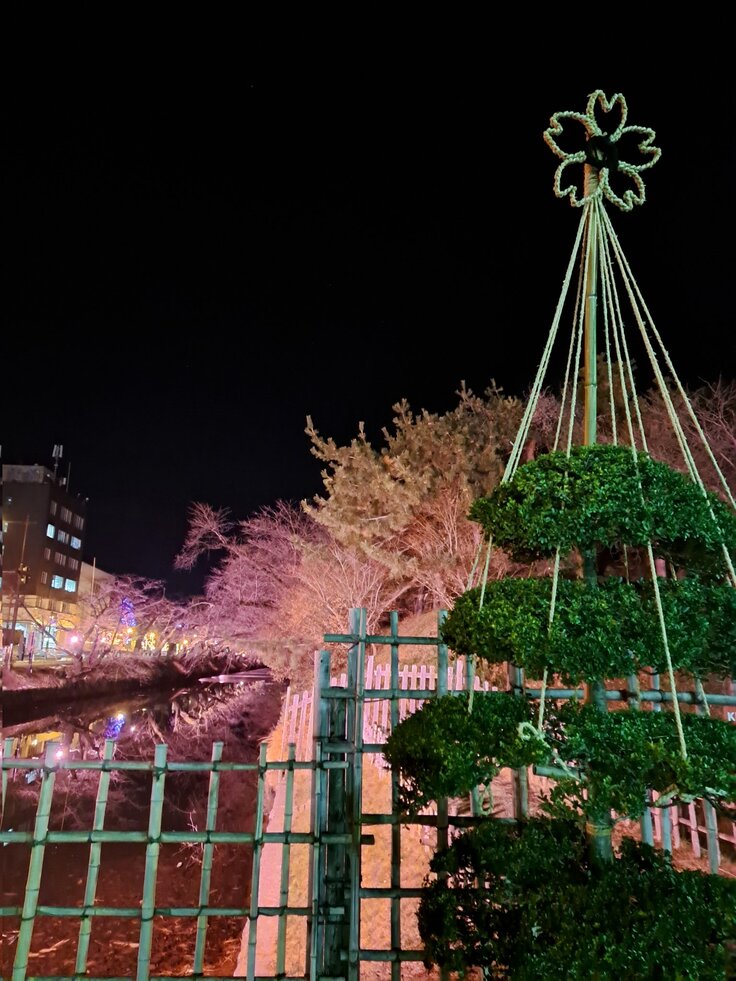 ライトアップの様子3