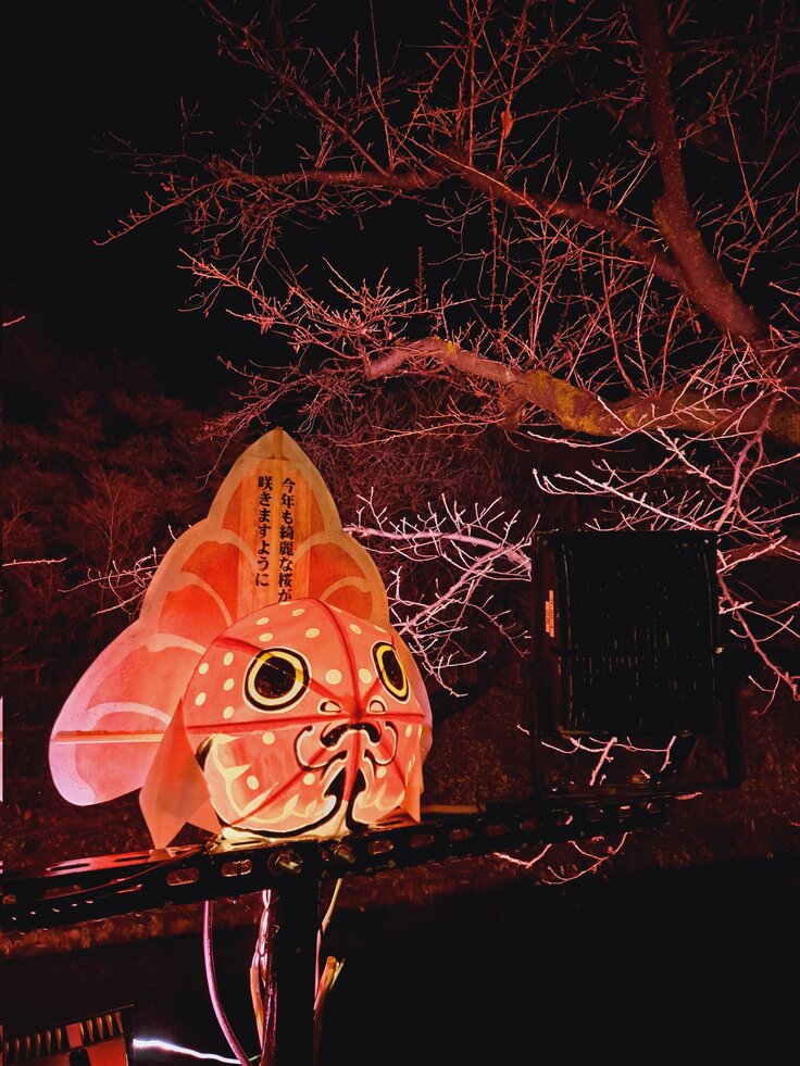 ライトアップの様子4