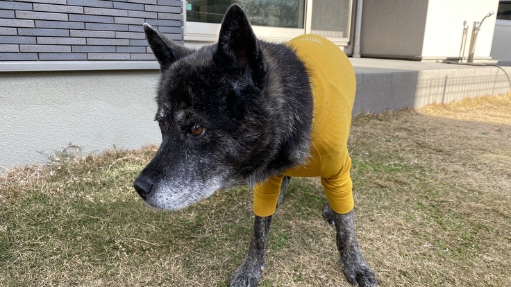 5788DDD8-43FF-4B89-8A54-53A7ECB6E69A (1).jpeg