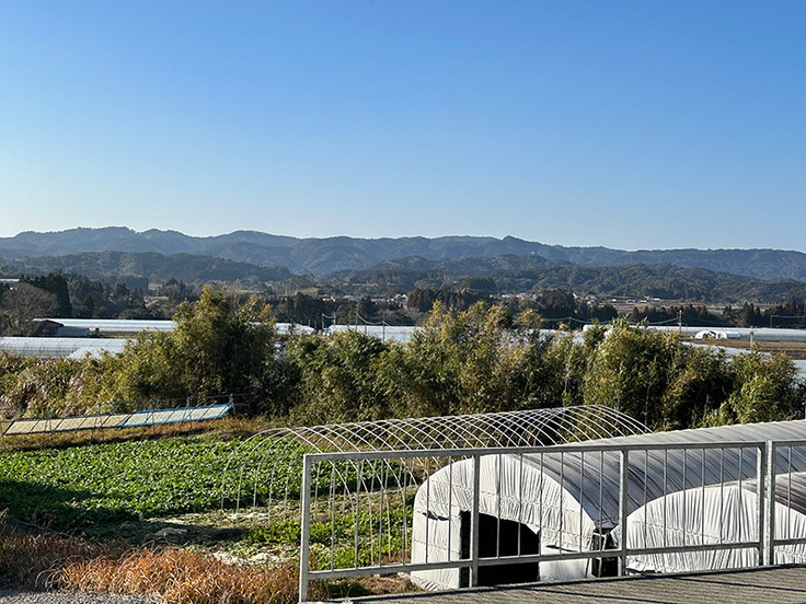 ここくさんの畑