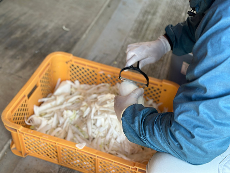 ここくの加藤さん２