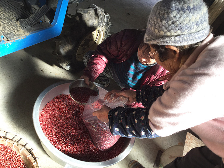 肝付の生産者さん