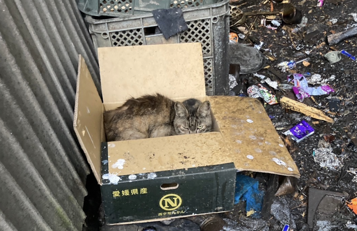 スクリーンショット 2024-01-16 9.21.43.png