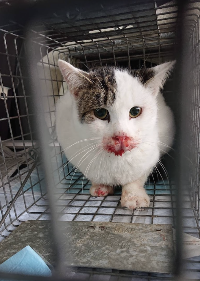 スクリーンショット 2024-01-16 9.26.22.png