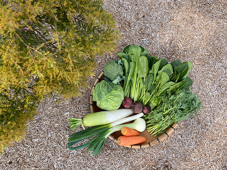 冬の野菜セット