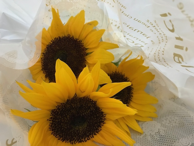 ひまわりの写真