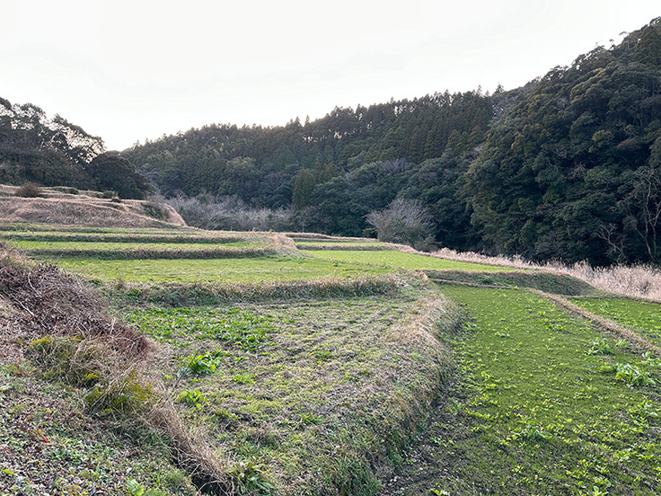 肝付町川辺地区