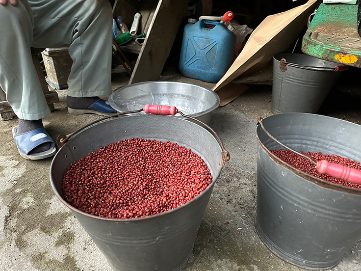 肝付町川辺地区の農家