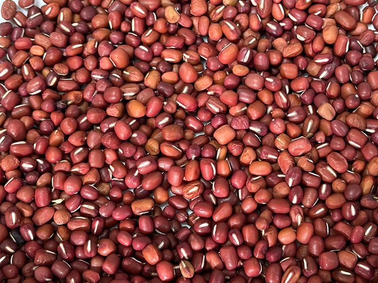 肝付町川辺地区の農家