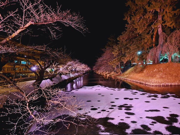 ライトアップの様子1